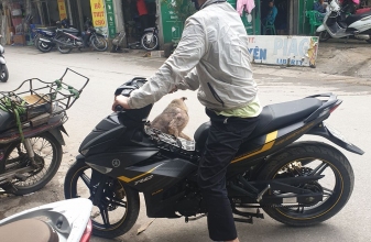 Cao gần 1m6 thì có chơi được moto hay không?