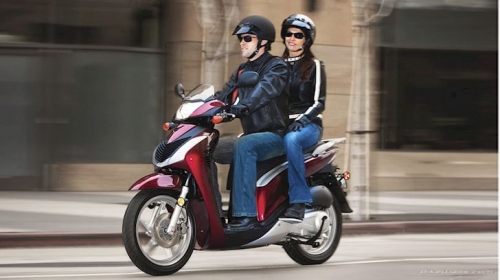 Mua và Bán tư vấn HONDA SH Nhập Ý ở Ninh Bình