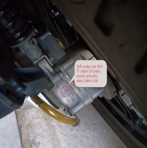 3 cách xem đời xe SH nhập qua số khung và số máy