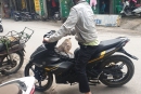 Cao gần 1m6 thì có chơi được moto hay không?