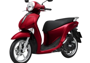 YAMAHA JANUS 125 - BẢN TIÊU CHUẨN 2024